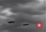 Image USAAF 14e Groupe de chasse l'Algérie Afrique du Nord, 1943, de la seconde 43 séquences d'archives historiques vidéo 65675034871