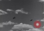 Image USAAF 14e Groupe de chasse l'Algérie Afrique du Nord, 1943, de la seconde 46 séquences d'archives historiques vidéo 65675034871