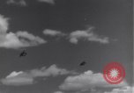 Image USAAF 14e Groupe de chasse l'Algérie Afrique du Nord, 1943, de la seconde 47 séquences d'archives historiques vidéo 65675034871
