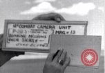 Standbild P-38 Flugzeuge Algerien Nordafrika, 1943, aus Sekunde 1 historischem Filmmaterial Videoclip 65675034872