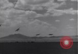 Standbild P-38 Flugzeuge Algerien Nordafrika, 1943, aus Sekunde 16 historischem Filmmaterial Videoclip 65675034872