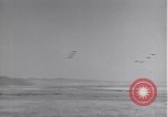 Standbild 14 Fighter Group Algerien Nordafrika, 1943, aus Sekunde 6 historischem Filmmaterial Videoclip 65675034873