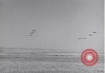 Standbild 14 Fighter Group Algerien Nordafrika, 1943, aus Sekunde 8 historischem Filmmaterial Videoclip 65675034873