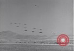 Standbild 14 Fighter Group Algerien Nordafrika, 1943, aus Sekunde 44 historischem Filmmaterial Videoclip 65675034873