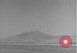 Standbild 14 Fighter Group Algerien Nordafrika, 1943, aus Sekunde 49 historischem Filmmaterial Videoclip 65675034873