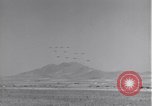 Standbild 14 Fighter Group Algerien Nordafrika, 1943, aus Sekunde 50 historischem Filmmaterial Videoclip 65675034873