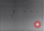 Standbild 14 Fighter Group Algerien Nordafrika, 1943, aus Sekunde 3 historischem Filmmaterial Videoclip 65675034874