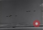 Standbild P-38 Flugzeuge fliegen die in Formationen Algerien Nordafrika, 1943, aus Sekunde 13 historischem Filmmaterial Videoclip 65675034876