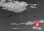Standbild P-38 Flugzeuge fliegen die in Formationen Algerien Nordafrika, 1943, aus Sekunde 40 historischem Filmmaterial Videoclip 65675034876