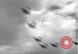 Standbild P-38 Flugzeuge fliegen die in Formationen Algerien Nordafrika, 1943, aus Sekunde 48 historischem Filmmaterial Videoclip 65675034876