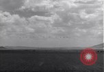 Standbild P-38 Flugzeuge fliegen die in Formationen Algerien Nordafrika, 1943, aus Sekunde 55 historischem Filmmaterial Videoclip 65675034876