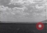 Standbild P-38 Flugzeuge fliegen die in Formationen Algerien Nordafrika, 1943, aus Sekunde 56 historischem Filmmaterial Videoclip 65675034876