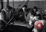 Standbild amerikanischen Marine Offiziere Nordafrika, 1943, aus Sekunde 51 historischem Filmmaterial Videoclip 65675034880