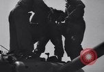 Image 2e Division blindée française libre Sées France, 1944, de la seconde 21 séquences d'archives historiques vidéo 65675034886