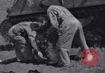Image 2e Division blindée française libre Sées France, 1944, de la seconde 38 séquences d'archives historiques vidéo 65675034886