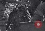 Image 2e Division blindée française libre Sées France, 1944, de la seconde 50 séquences d'archives historiques vidéo 65675034886