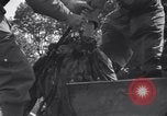 Image 2e Division blindée française libre Sées France, 1944, de la seconde 52 séquences d'archives historiques vidéo 65675034886