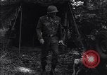 Immagine di George S Patton Francia, 1944, secondo 32 filmato di repertorio 65675034891