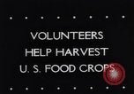 Image of vegetable harvest and canning in USA in World War 2 Maine United States USA, 1943, second 3 stock footage video 65675034899
