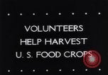 Image of vegetable harvest and canning in USA in World War 2 Maine United States USA, 1943, second 6 stock footage video 65675034899