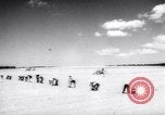 Image of vegetable harvest and canning in USA in World War 2 Maine United States USA, 1943, second 18 stock footage video 65675034899