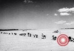 Image of vegetable harvest and canning in USA in World War 2 Maine United States USA, 1943, second 19 stock footage video 65675034899
