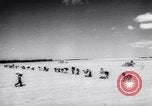 Image of vegetable harvest and canning in USA in World War 2 Maine United States USA, 1943, second 20 stock footage video 65675034899