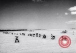 Image of vegetable harvest and canning in USA in World War 2 Maine United States USA, 1943, second 21 stock footage video 65675034899
