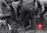 Standbild amerikanischen Fallschirmjäger Nadzab New Guinea, 1943, aus Sekunde 41 historischem Filmmaterial Videoclip 65675034911