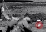 Immagine di I paracadutisti americani Nadzab Nuova Guinea, 1943, secondo 53 filmato di repertorio 65675034912