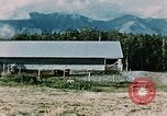 Image campagne Palmer Alaska USA, 1954, de la seconde 39 séquences d'archives historiques vidéo 65675034920