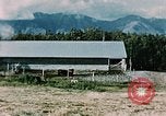 Image campagne Palmer Alaska USA, 1954, de la seconde 40 séquences d'archives historiques vidéo 65675034920