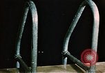 Image of swimming Alaska USA, 1954, second 13 stock footage video 65675034926