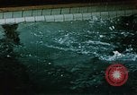 Image of swimming Alaska USA, 1954, second 41 stock footage video 65675034926