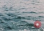 Image of swimming Alaska USA, 1954, second 53 stock footage video 65675034926