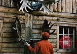 Image of Moose antlers being fastened to a log cabin Alaska USA, 1954, second 7 stock footage video 65675034930