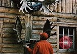 Image of Moose antlers being fastened to a log cabin Alaska USA, 1954, second 8 stock footage video 65675034930