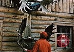 Image of Moose antlers being fastened to a log cabin Alaska USA, 1954, second 10 stock footage video 65675034930