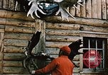 Image of Moose antlers being fastened to a log cabin Alaska USA, 1954, second 11 stock footage video 65675034930