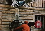 Image of Moose antlers being fastened to a log cabin Alaska USA, 1954, second 13 stock footage video 65675034930