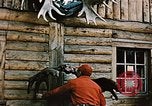 Image of Moose antlers being fastened to a log cabin Alaska USA, 1954, second 14 stock footage video 65675034930