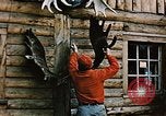 Image of Moose antlers being fastened to a log cabin Alaska USA, 1954, second 17 stock footage video 65675034930