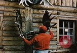 Image of Moose antlers being fastened to a log cabin Alaska USA, 1954, second 21 stock footage video 65675034930
