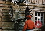 Image of Moose antlers being fastened to a log cabin Alaska USA, 1954, second 23 stock footage video 65675034930