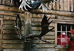 Image of Moose antlers being fastened to a log cabin Alaska USA, 1954, second 25 stock footage video 65675034930