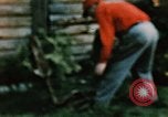 Image of Moose antlers being fastened to a log cabin Alaska USA, 1954, second 29 stock footage video 65675034930