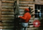 Image of Moose antlers being fastened to a log cabin Alaska USA, 1954, second 36 stock footage video 65675034930