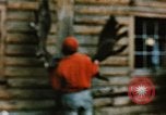 Image of Moose antlers being fastened to a log cabin Alaska USA, 1954, second 38 stock footage video 65675034930