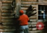 Image of Moose antlers being fastened to a log cabin Alaska USA, 1954, second 39 stock footage video 65675034930