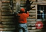Image of Moose antlers being fastened to a log cabin Alaska USA, 1954, second 40 stock footage video 65675034930